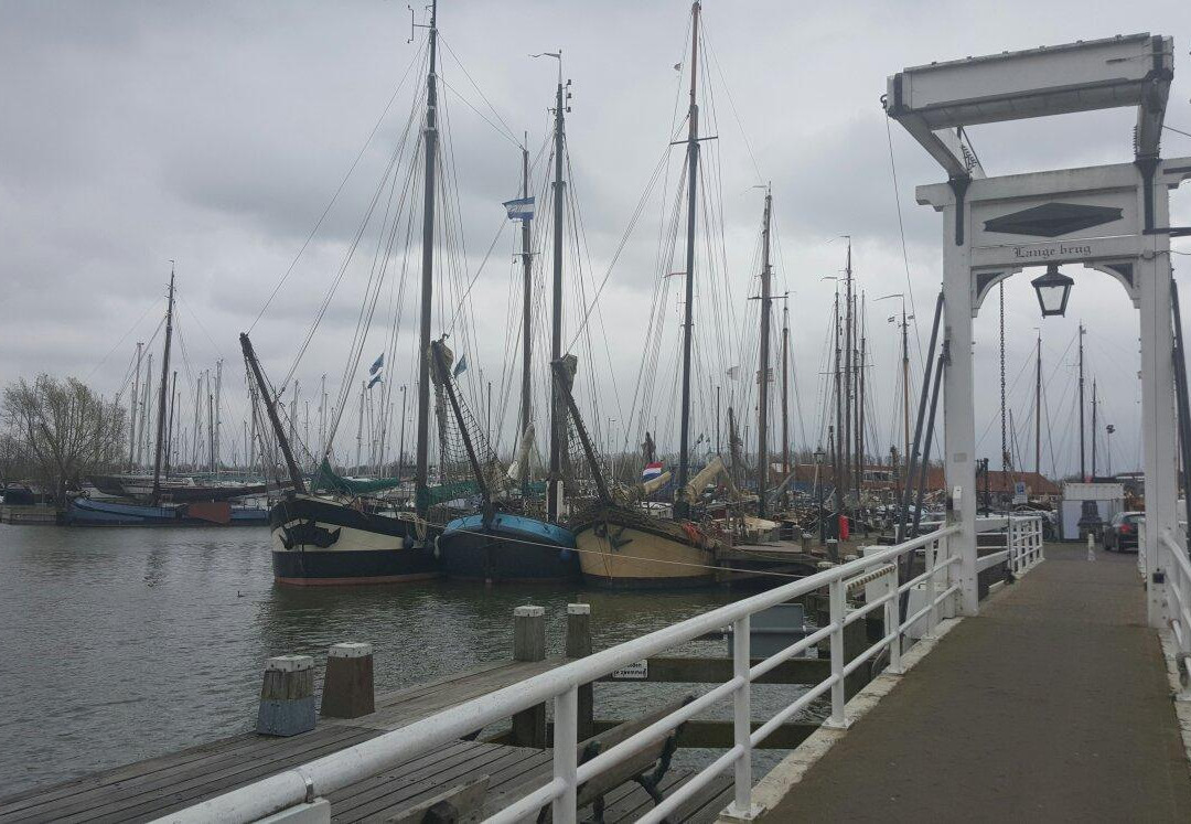 B&B De Schaapskooi主图