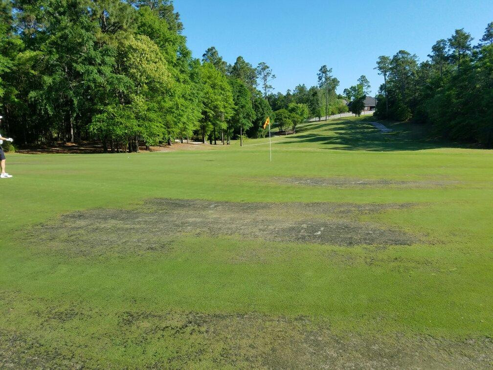 Magnolia Grove Golf Course景点图片