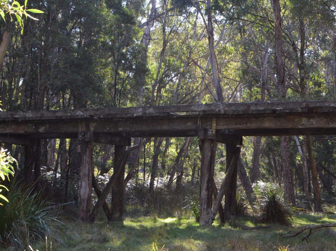 Domino Trail-Trentham必去景点