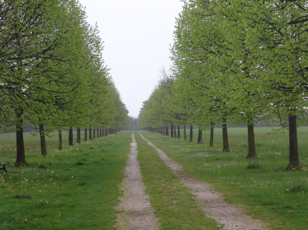 Parco Brolo景点图片
