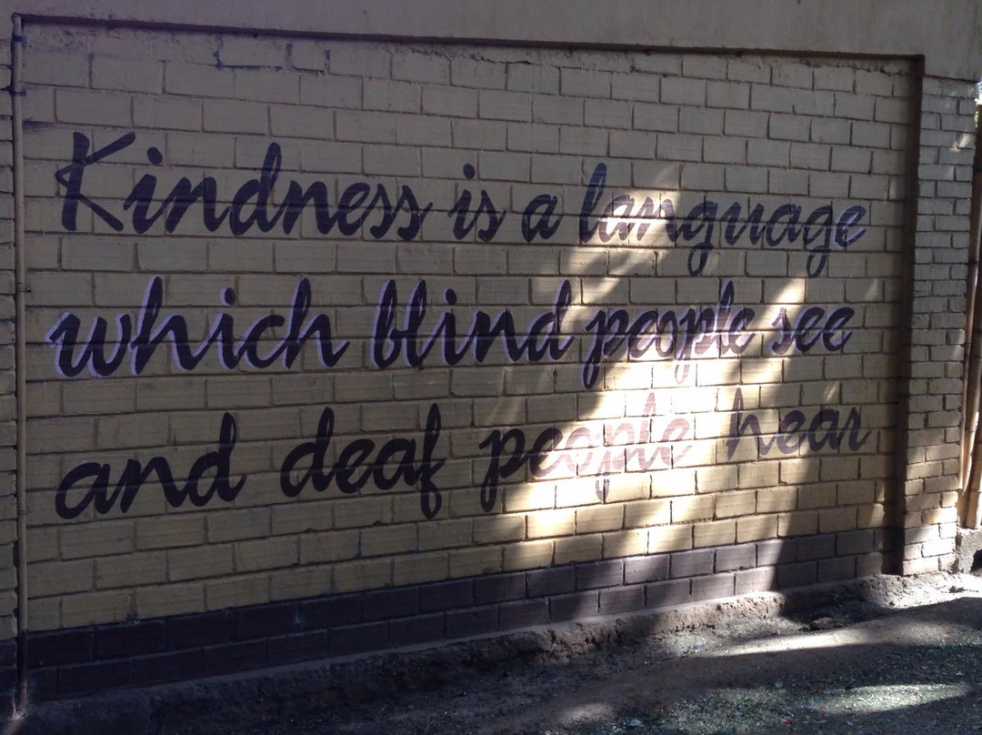 Freeman Arusha and Beyond Tours-阿鲁沙必去景点