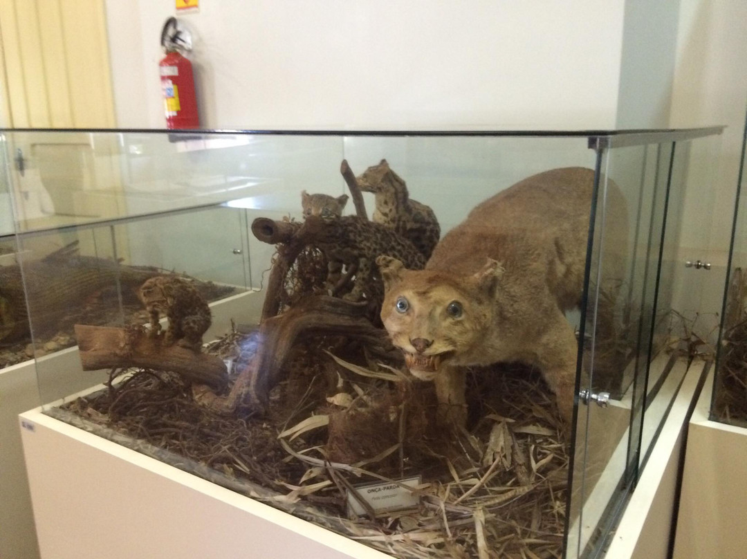 Sete Quedas Museum-Guaira必去景点