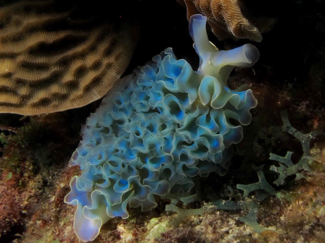 Jeremi Baai-Sabana Westpunt必去景点