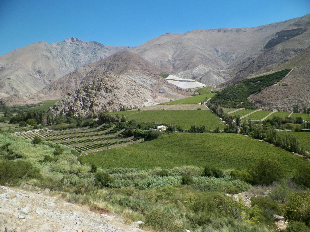 Valle del Elqui景点图片