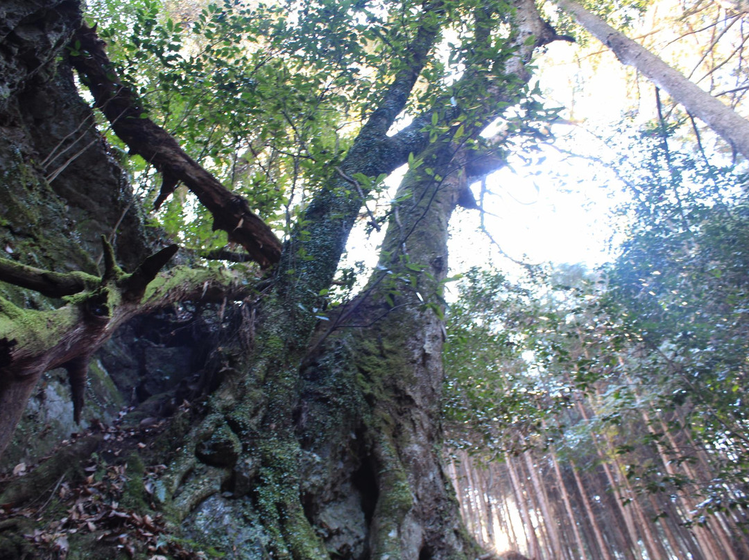 Saso Fudo Falls-京丹波町必去景点