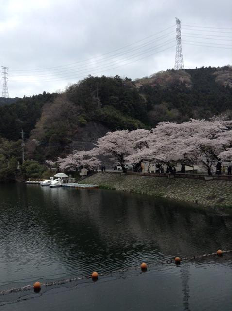 Lake Kamakita-毛吕山町必去景点