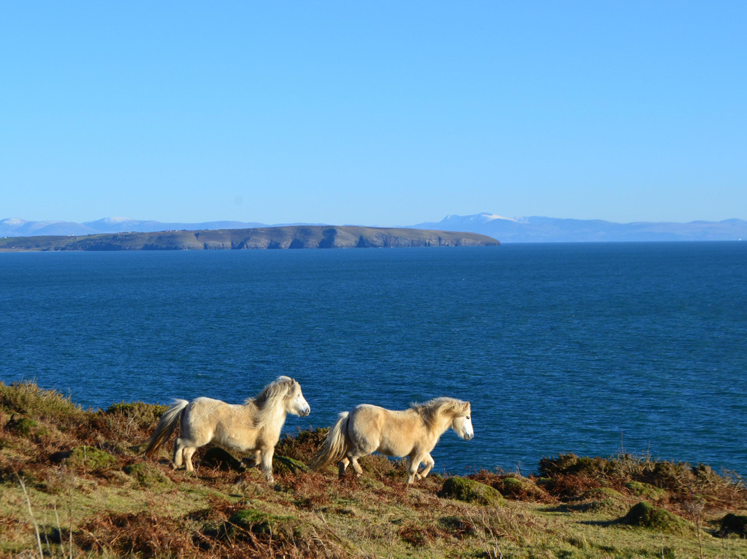 Edge of Wales Walk景点图片