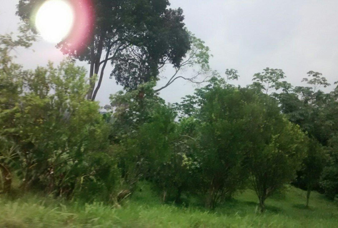 La Venezuela de Antier-梅里达市必去景点