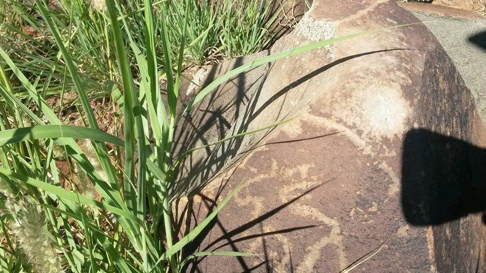 Wildebeest Kuil Rock Art Centre-金伯利必去景点