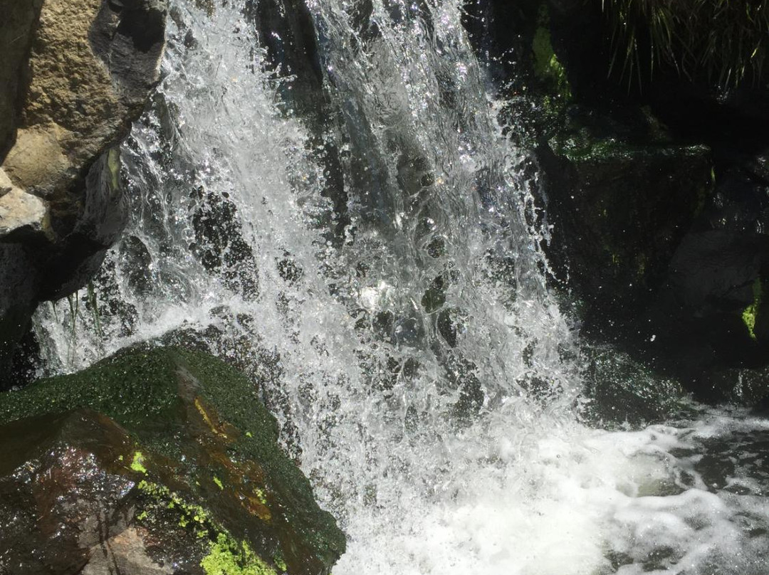 Talking Water Gardens-奥尔巴尼必去景点