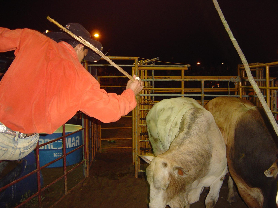 Lavras Rodeo Festival景点图片