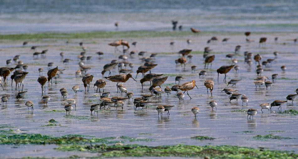 Galicia Incoming Services-圣地亚哥德孔波斯特拉必去景点