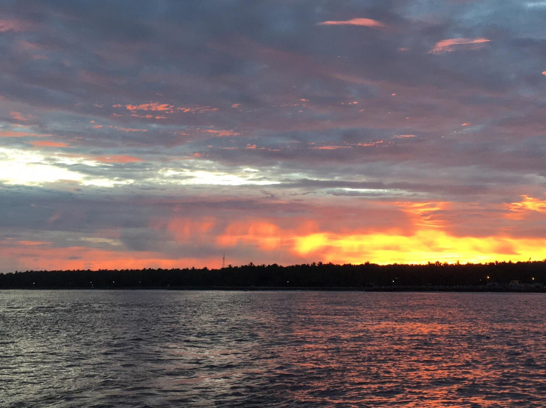 Lakshadweep旅游景点-Pitti Bird Sanctuary