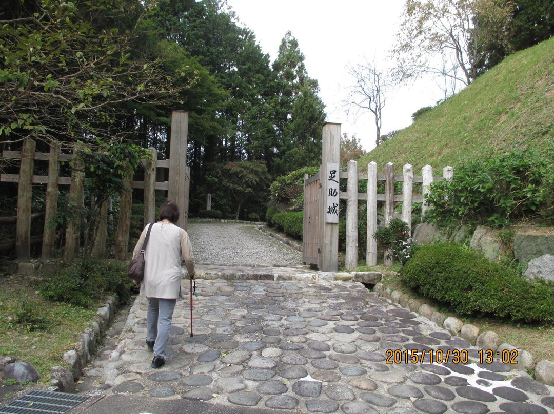 Joshi Park Asuke-jo　Castle-丰田市必去景点
