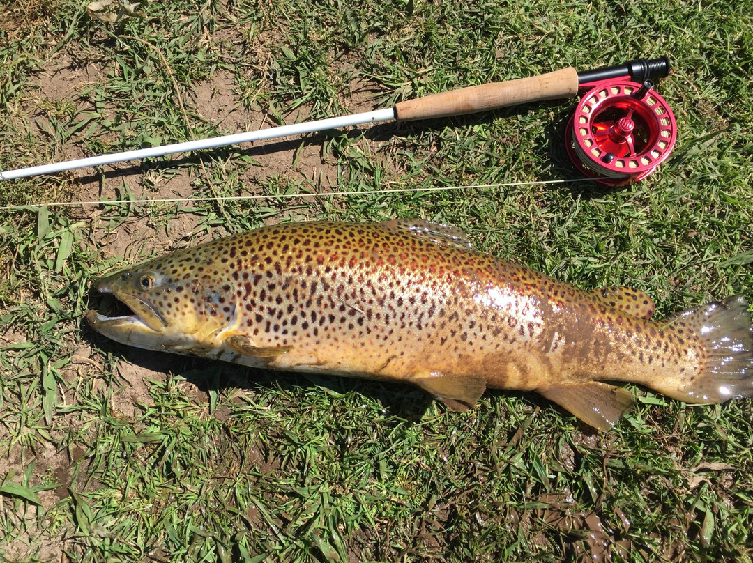 Eildon Trout Farm-Thornton必去景点