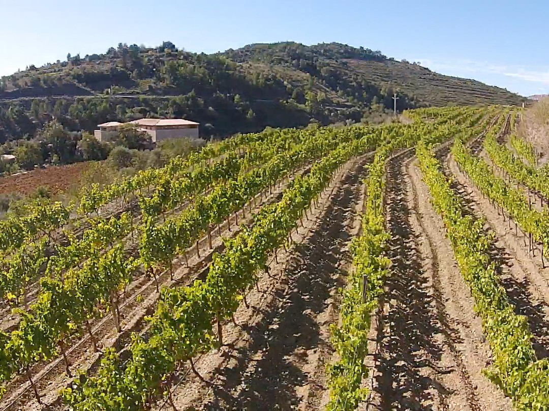 Torroja del Priorat旅游攻略图片