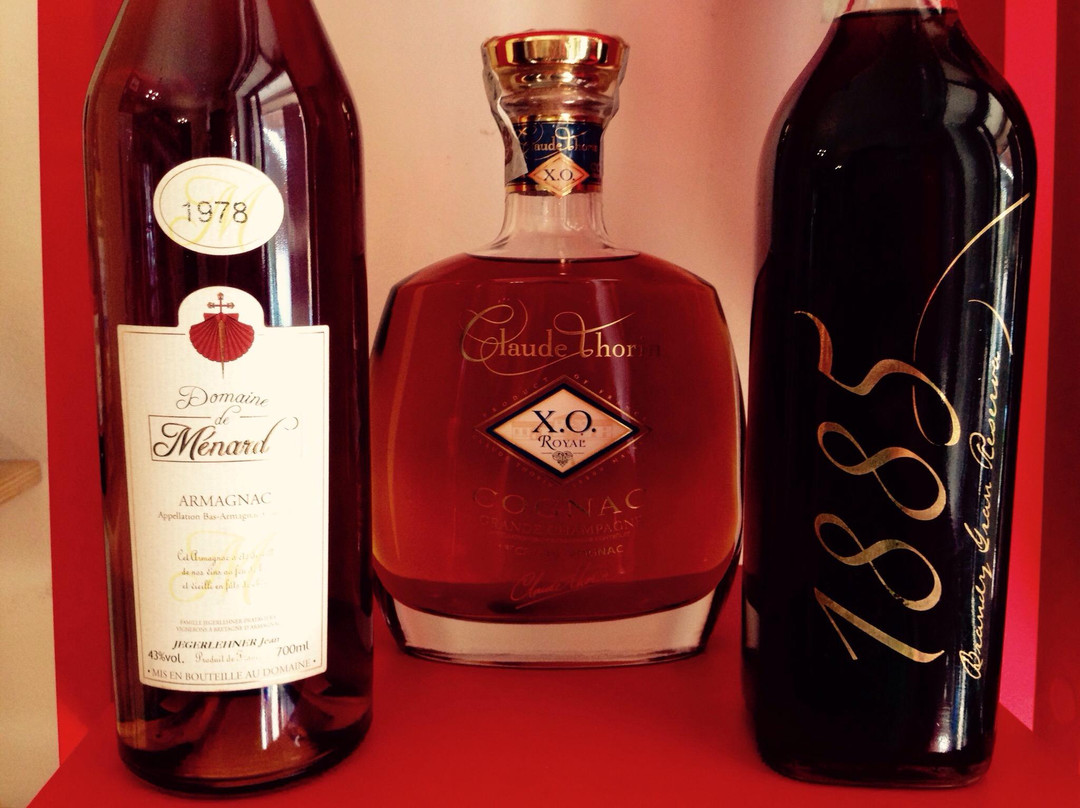 Temple Wine Bar-奥里斯塔诺省必去景点