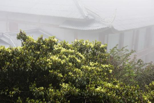 峨眉山金顶山庄-客卧