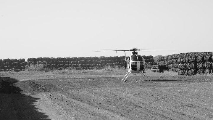 Mr. D's Helicopters - Helicopter Hog Hunting-Lone Oak必去景点