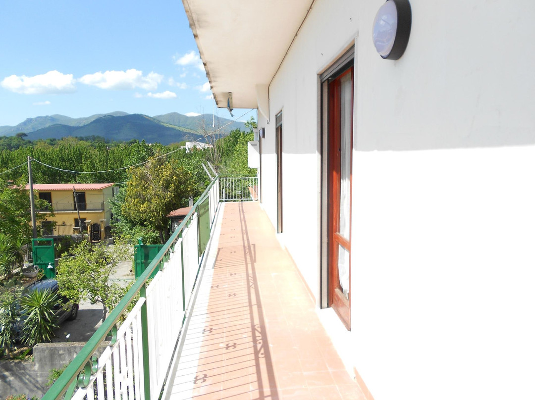 Belvedere Bed & Breakfast主图