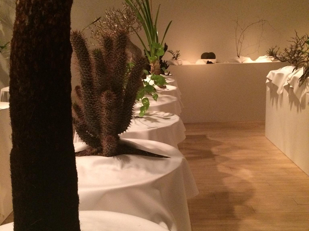 Pola Museum Annex-Ginza必去景点