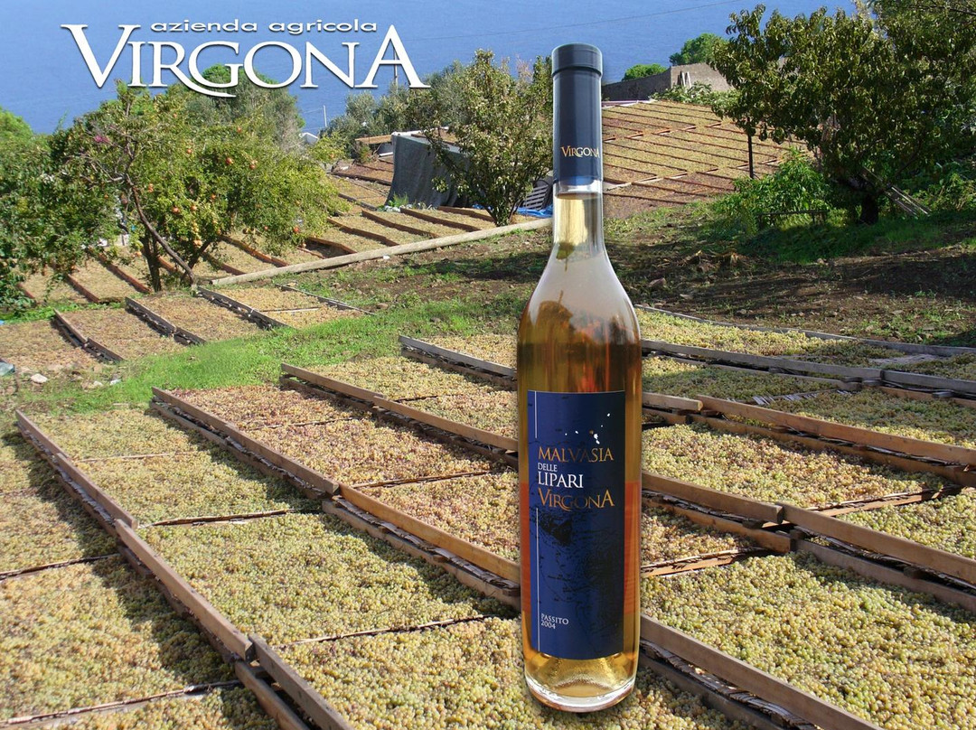 Azienda Agricola Virgona景点图片