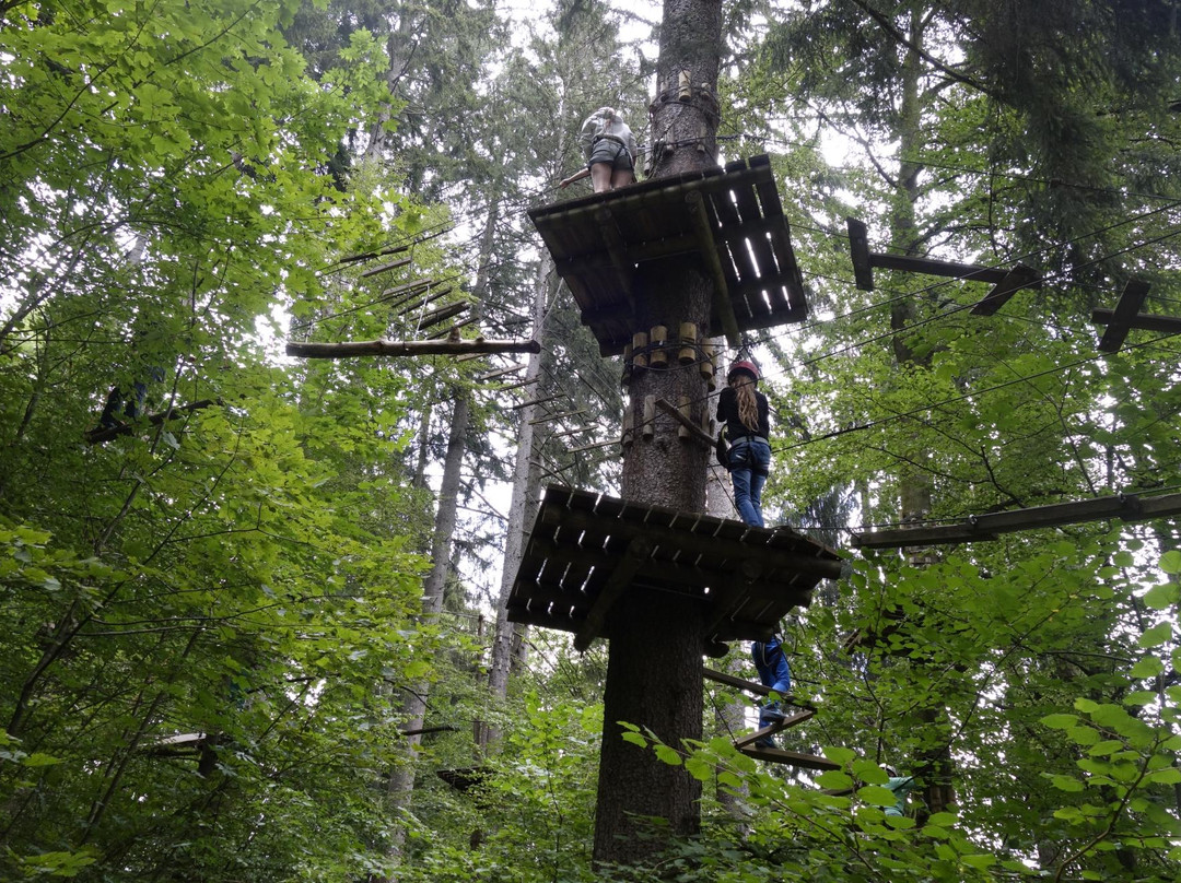 Action Forest Kletterwald景点图片