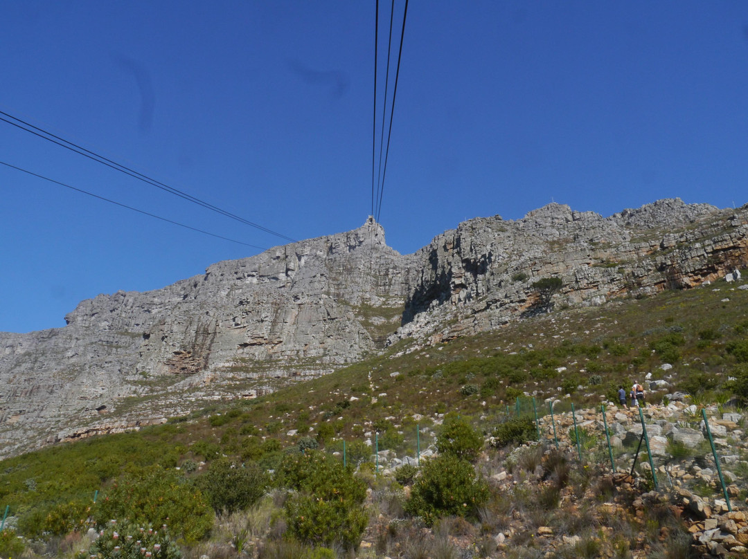 桌山空中索道-开普敦中心区必去景点
