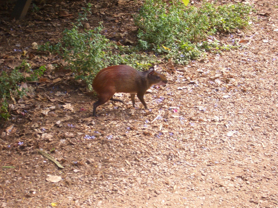 La Hulotte Day Tours-Kourou必去景点