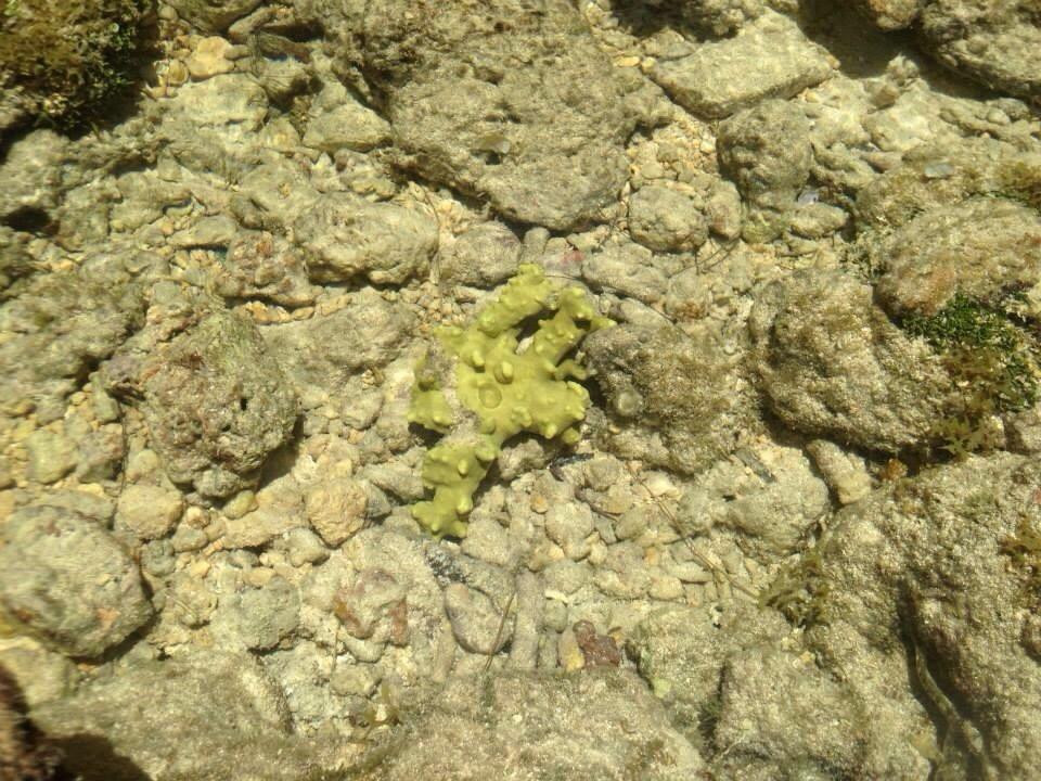 Gab Gab Beach-Santa Rita必去景点