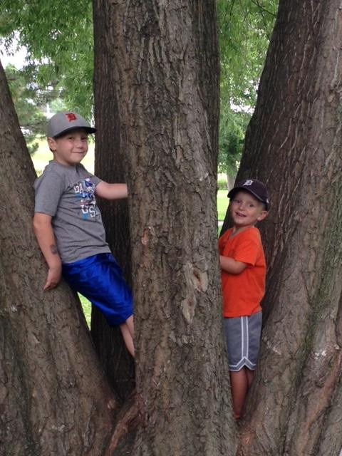 George George Memorial Park-Clinton Township必去景点