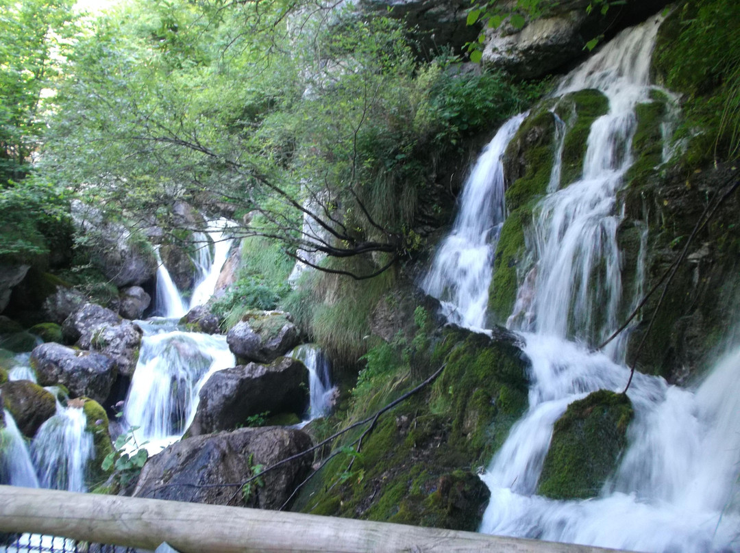 Area Natura Rio Bianco景点图片