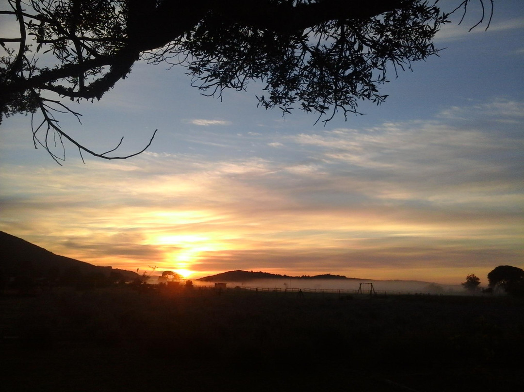 Serpentine Manor主图