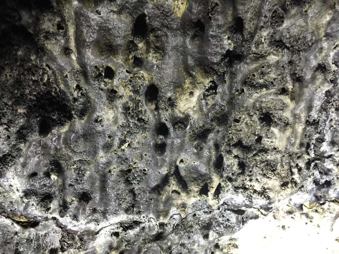 Lava River Cave-本德必去景点