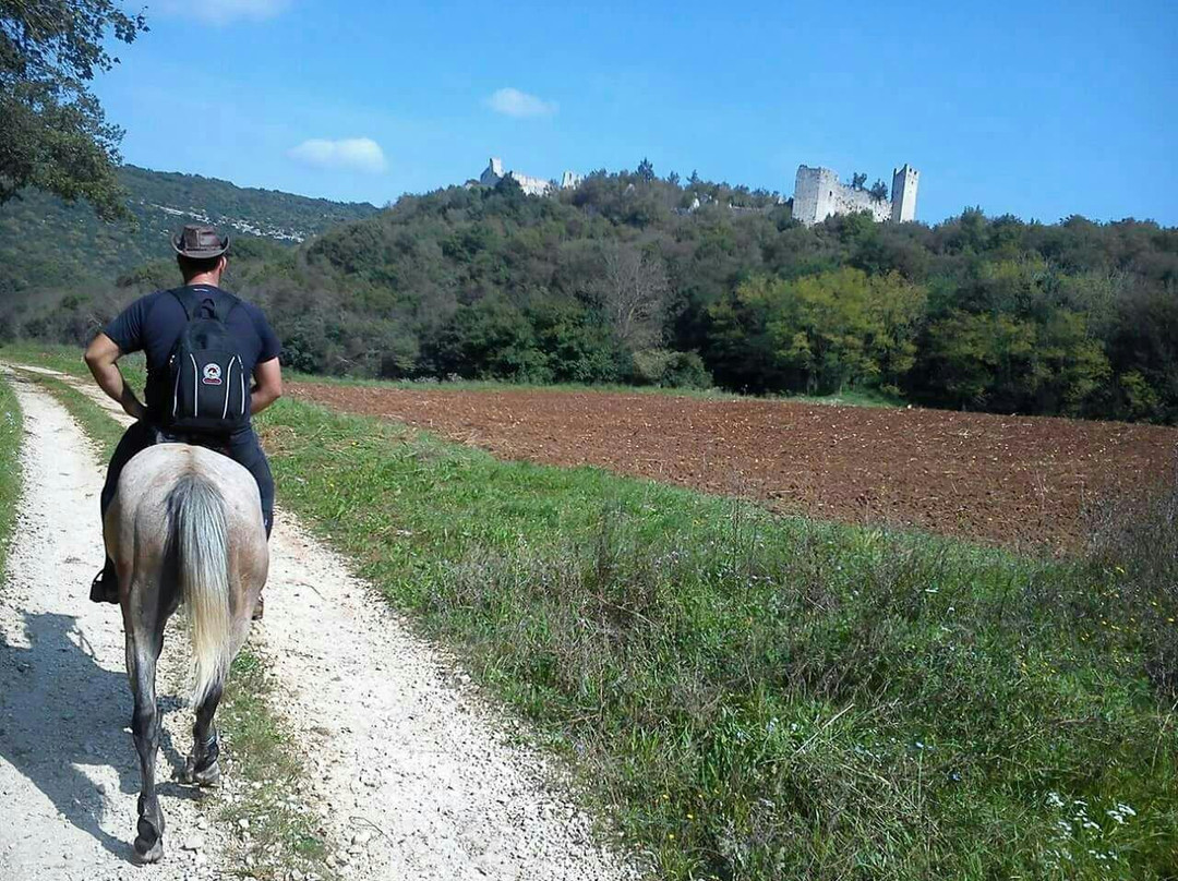 Konjicki klub Jakici Horse Riding-Sveti Lovrec必去景点