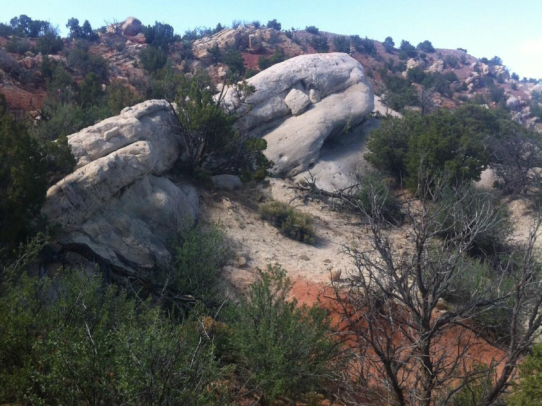 Galisteo Basin Preserve景点图片