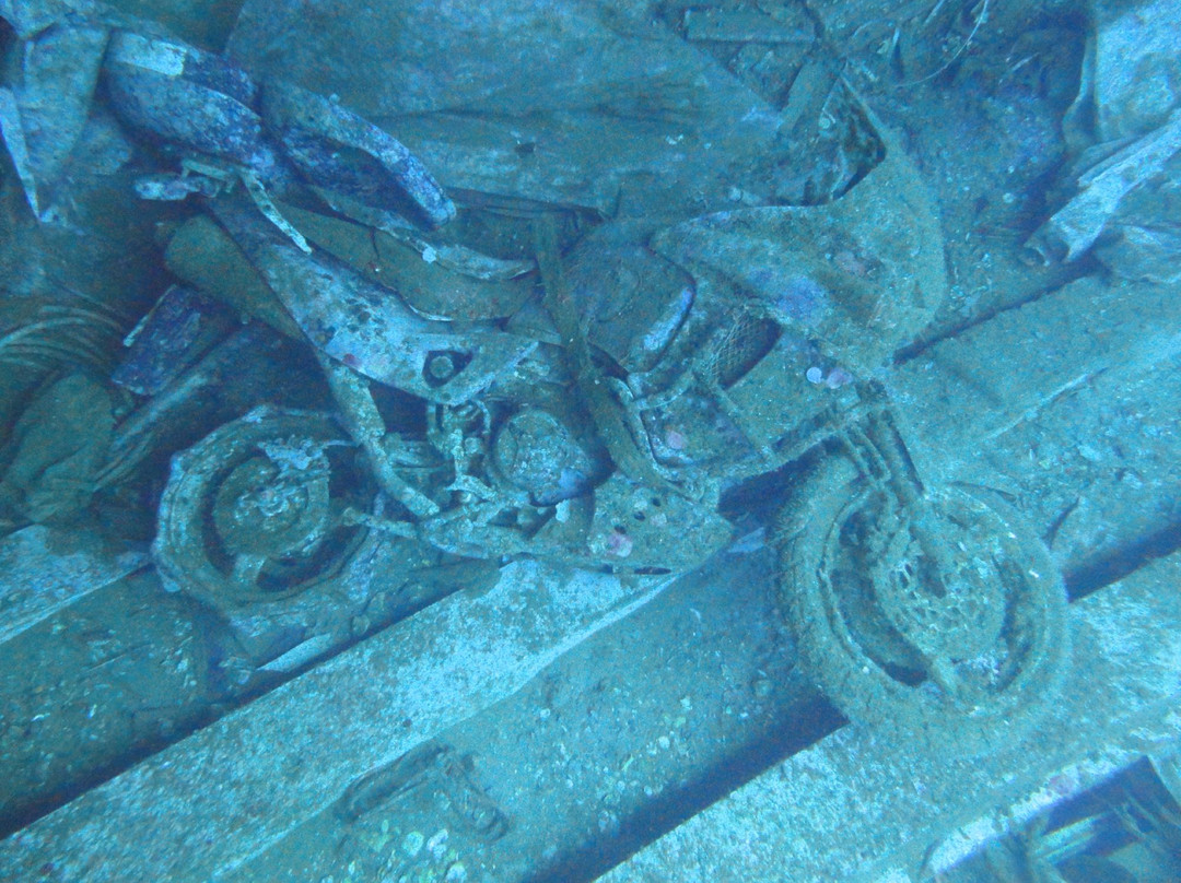 Dive Blue Dream-Agioi Anargyroi必去景点