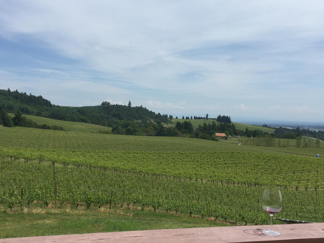 Oregon Vine2Wine Tours-尤金必去景点