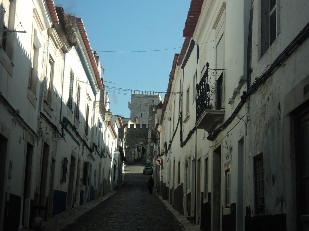 Pelourinho de Estremoz景点图片