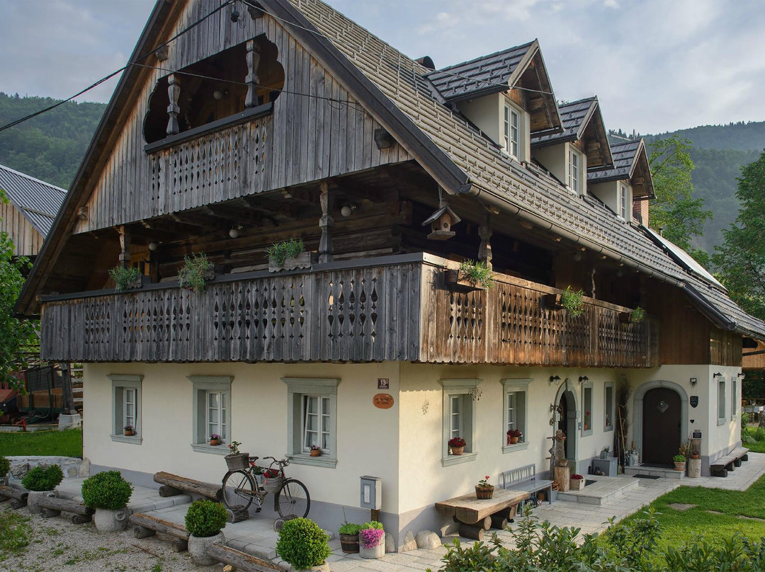 Rustic House 13
