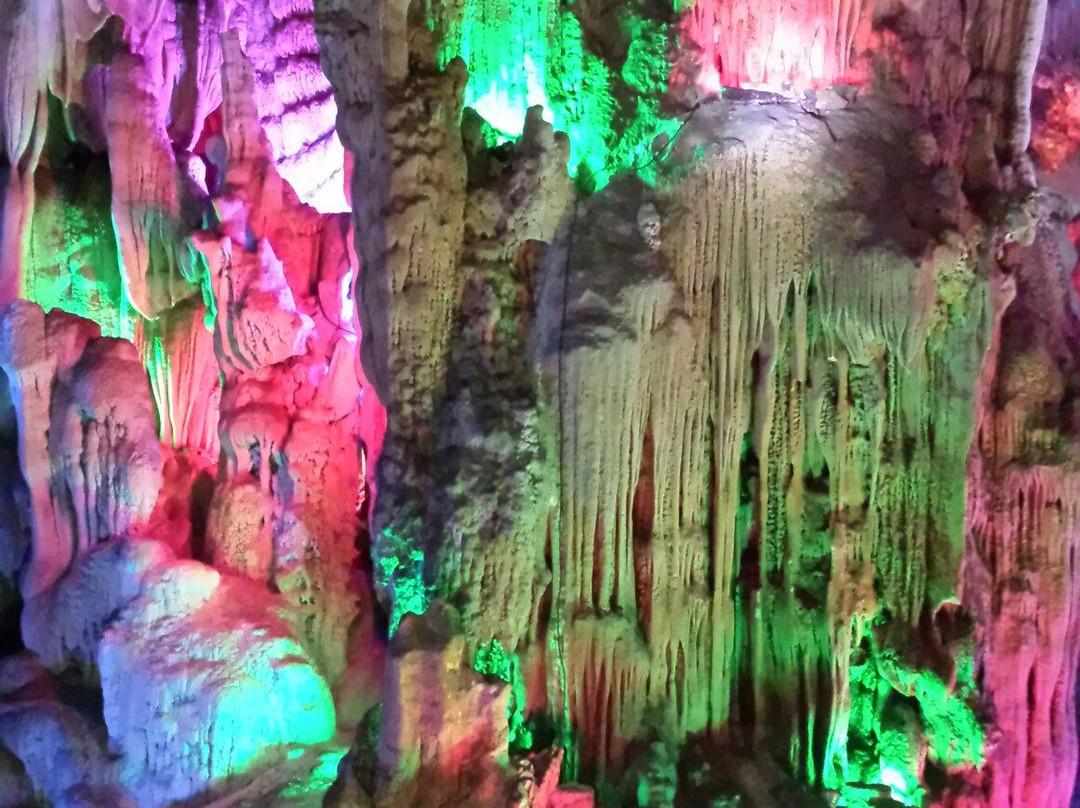 封开龙山景区-封开县必去景点