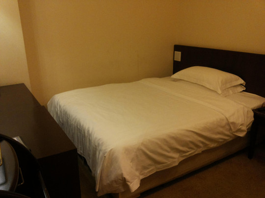 东辰大酒店主图