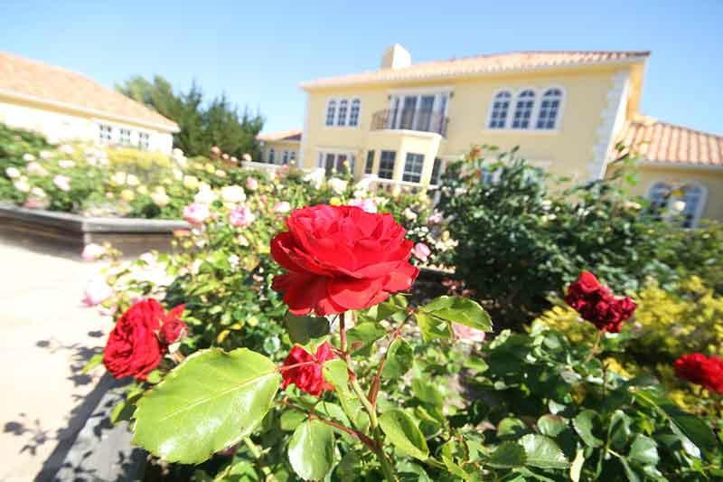 Bella Collina at La Bella Rosa主图