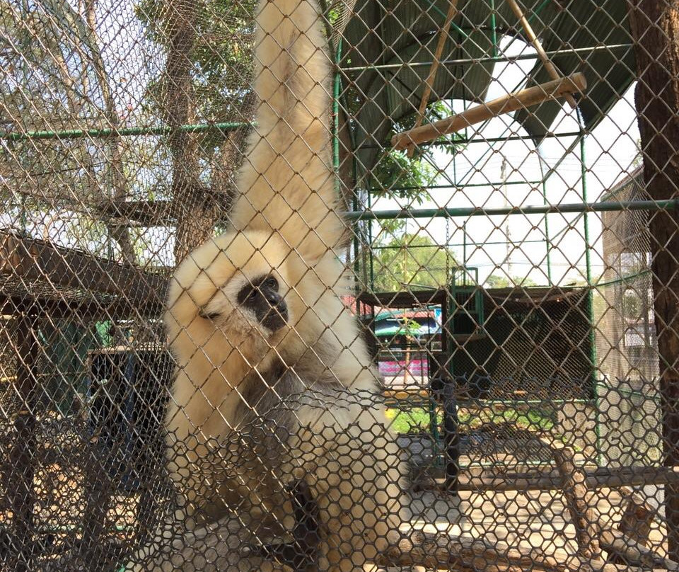 Bungchawak Wildlife Management Development Center-伦挽娘不必去景点