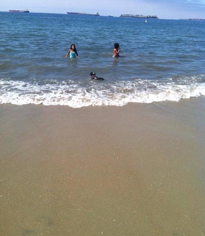 Rosie's Dog Beach-长滩必去景点