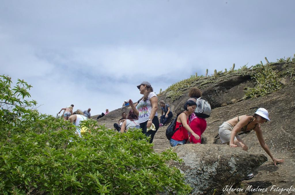 Parque Estadual da Serra da Tiririca-尼泰罗伊必去景点