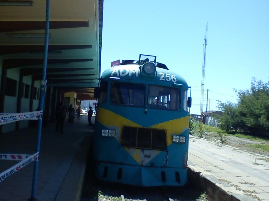 Ramal Talca - Constitucion - Train-Constitucion必去景点