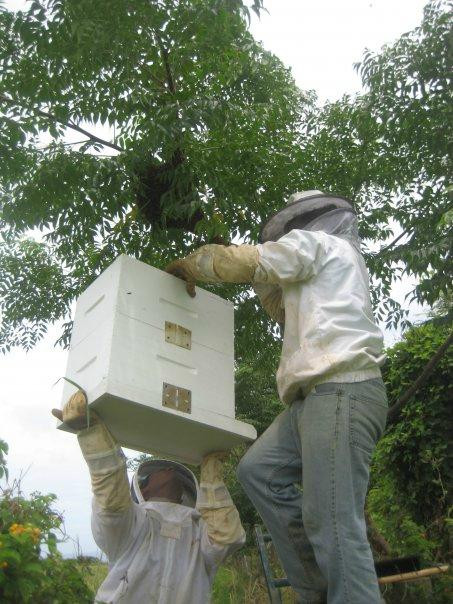Kauai Kunana Dairy Farm Tour-基拉韦厄必去景点