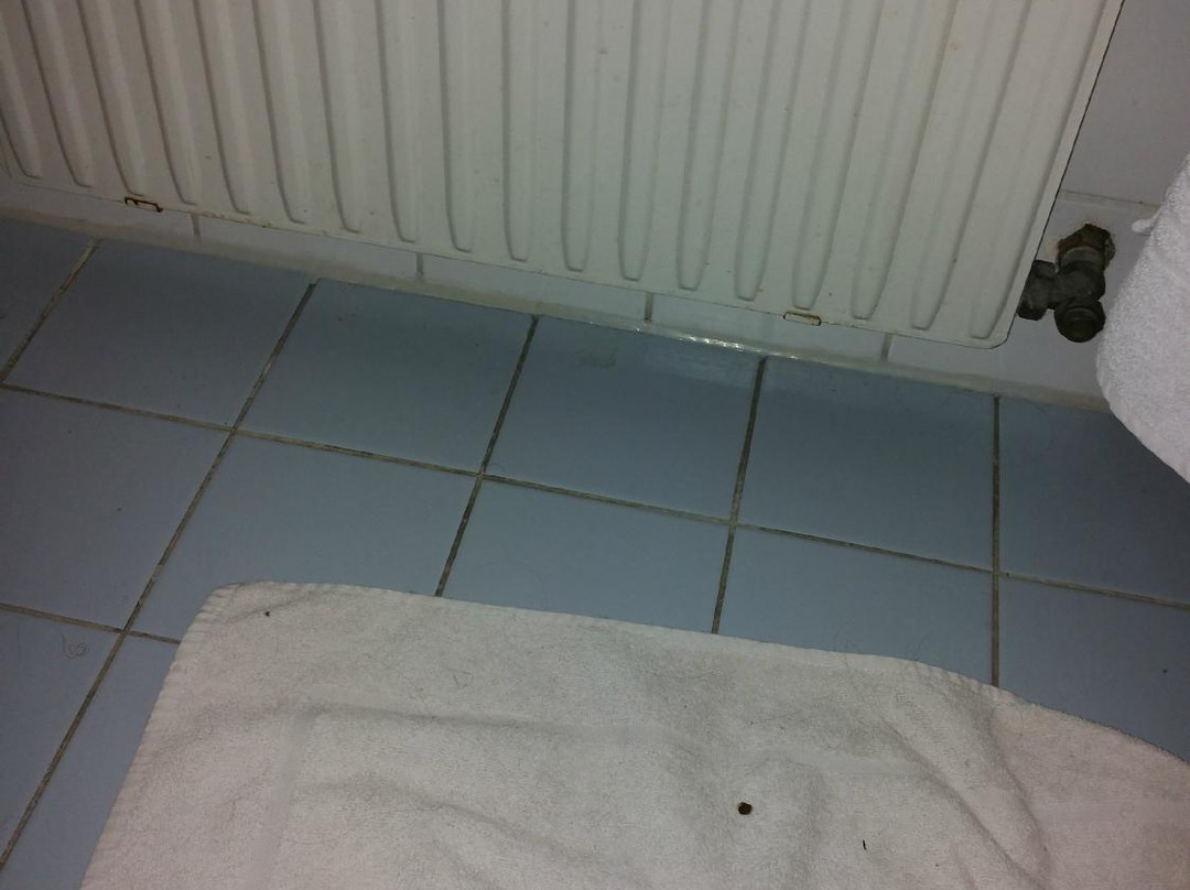 Hotel Gasthof Alter Wirt主图