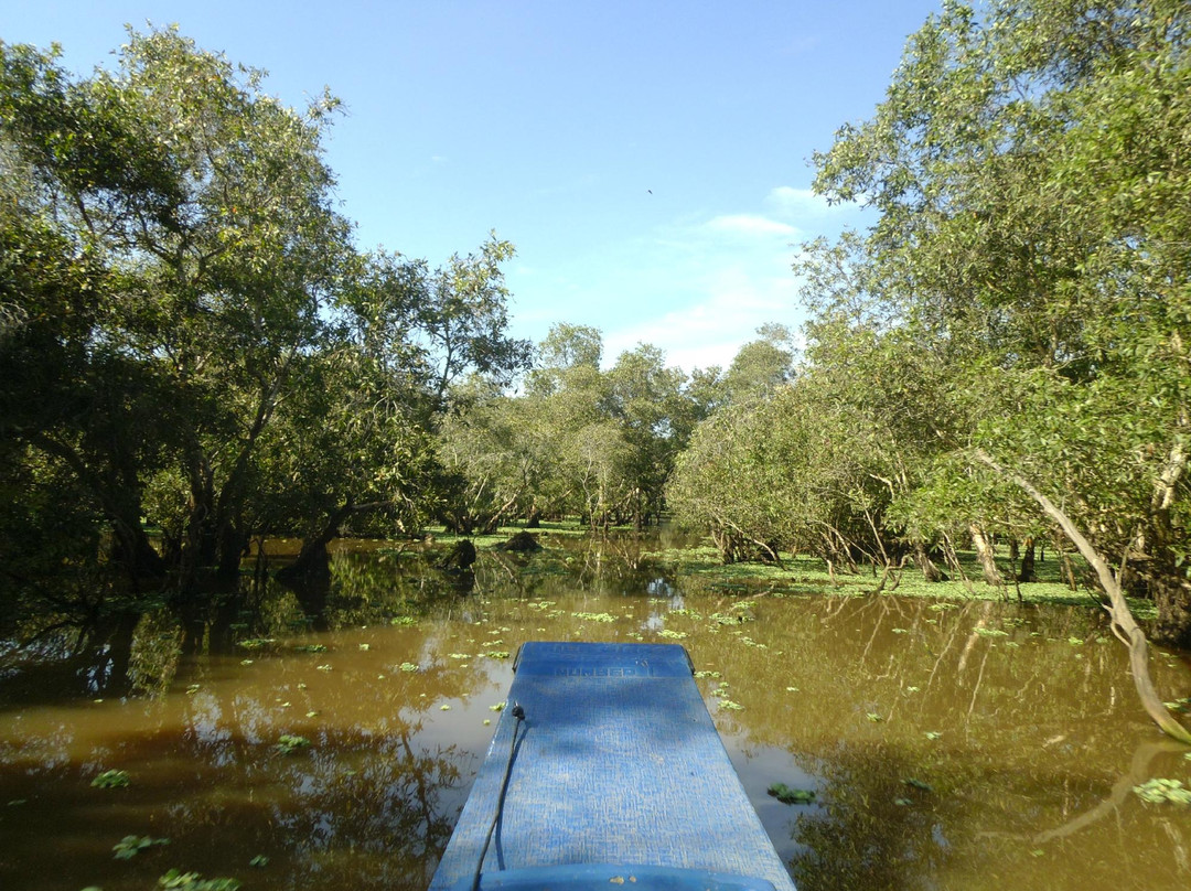 Tra Su Bird Sanctuary-朱笃必去景点